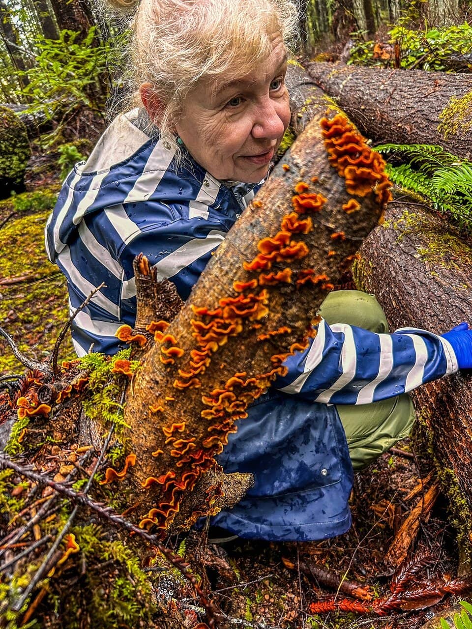 Mushroom Foraging Opportunities
