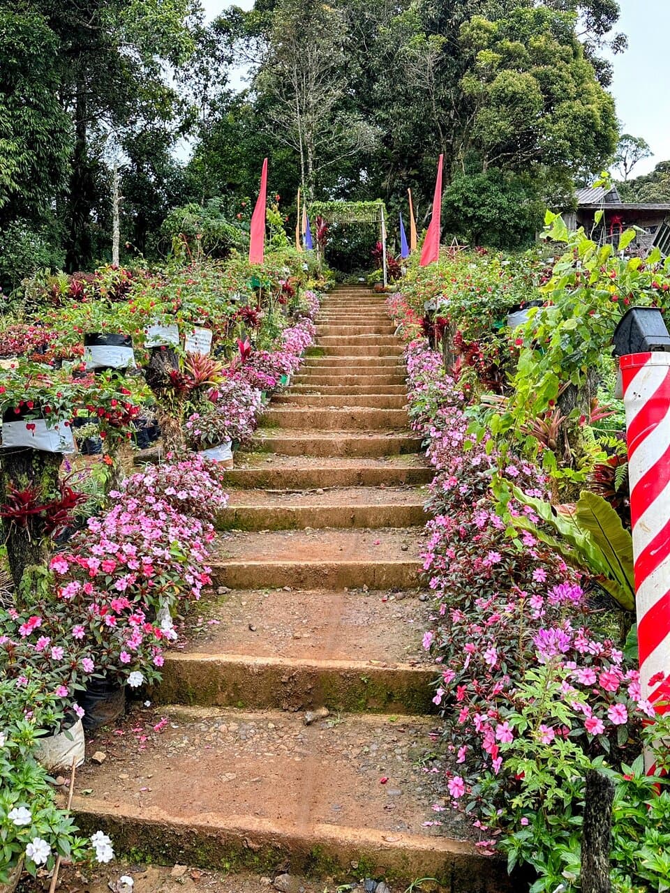 Bemwa Farm