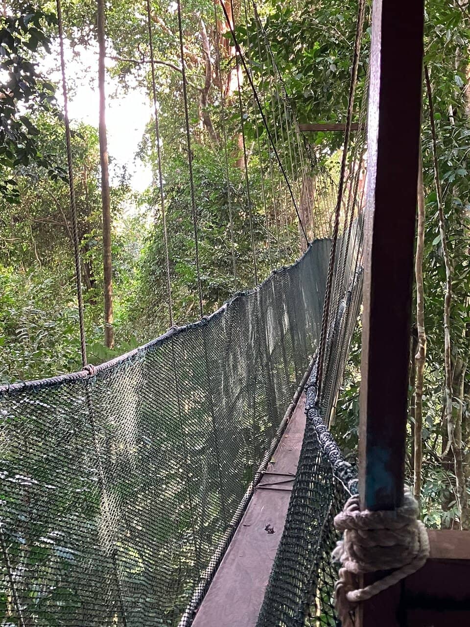 Langanan Waterfall Trek