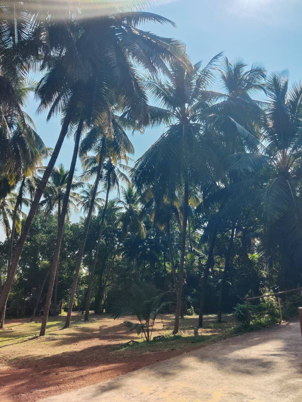 Annual Feast Celebration