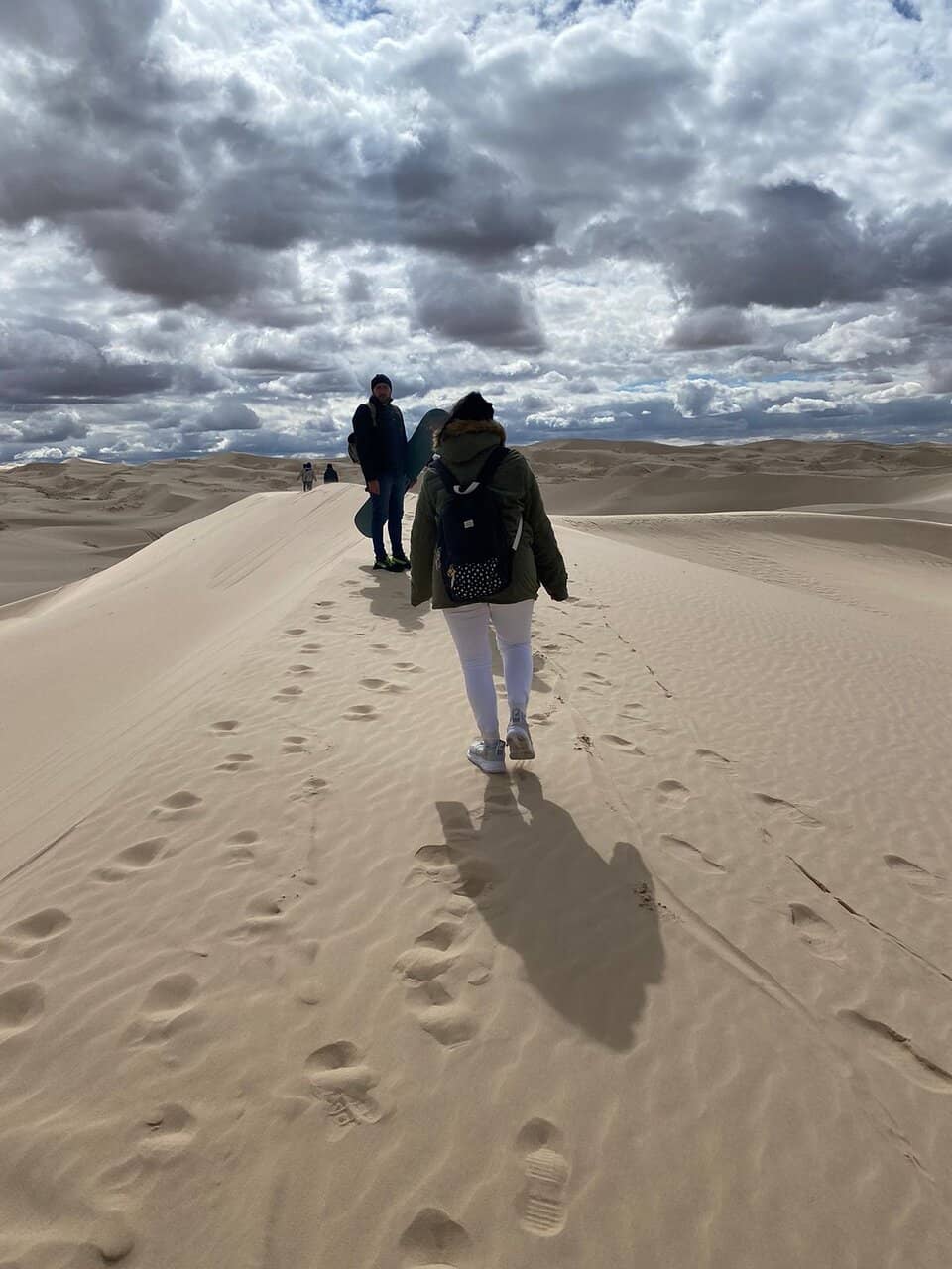 Vast Dune Landscape