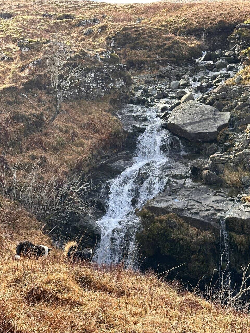 Loch Lomond & The Trossachs National Park