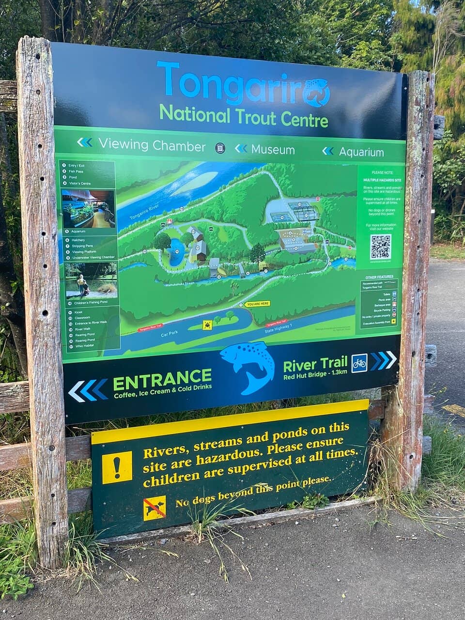 Riverside Walk & Wild Trout