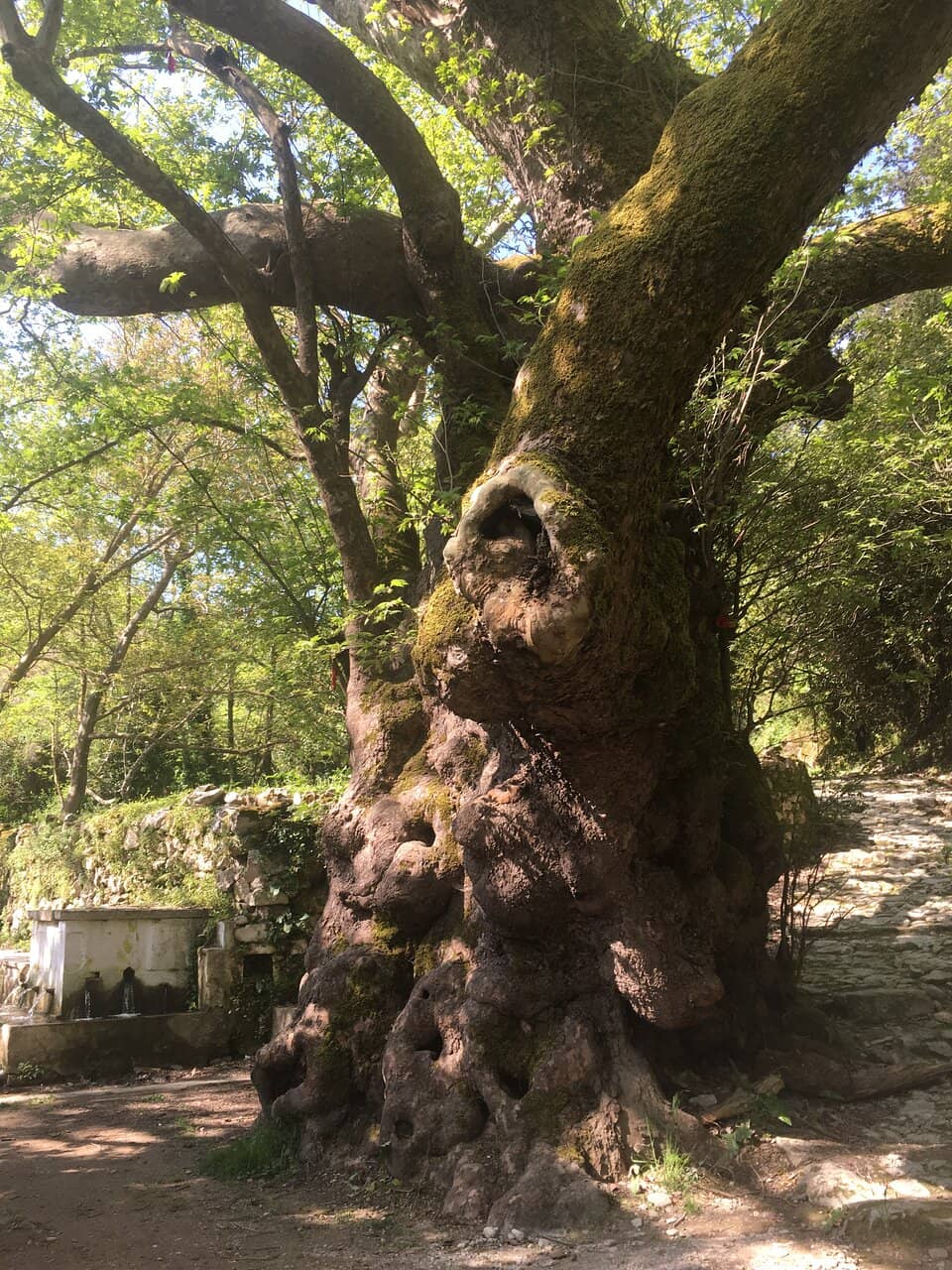Vertical photo