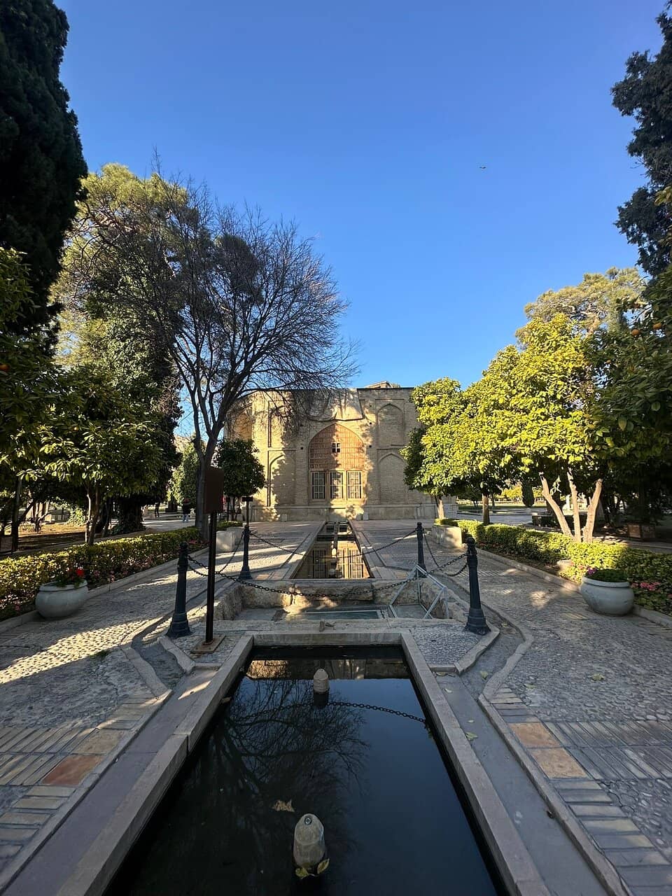 Artistic Tree Sculptures