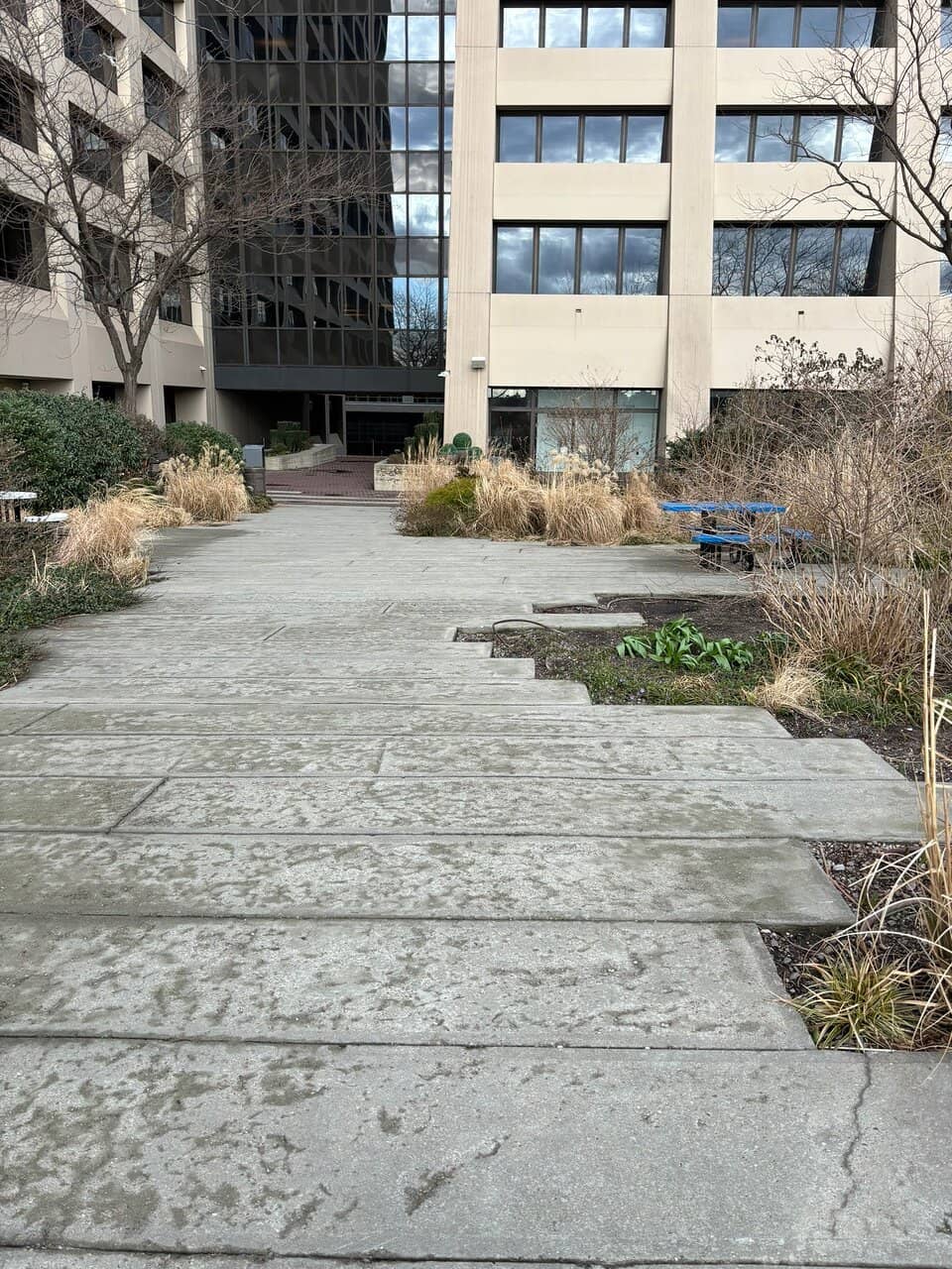 Seasonal Beer Garden