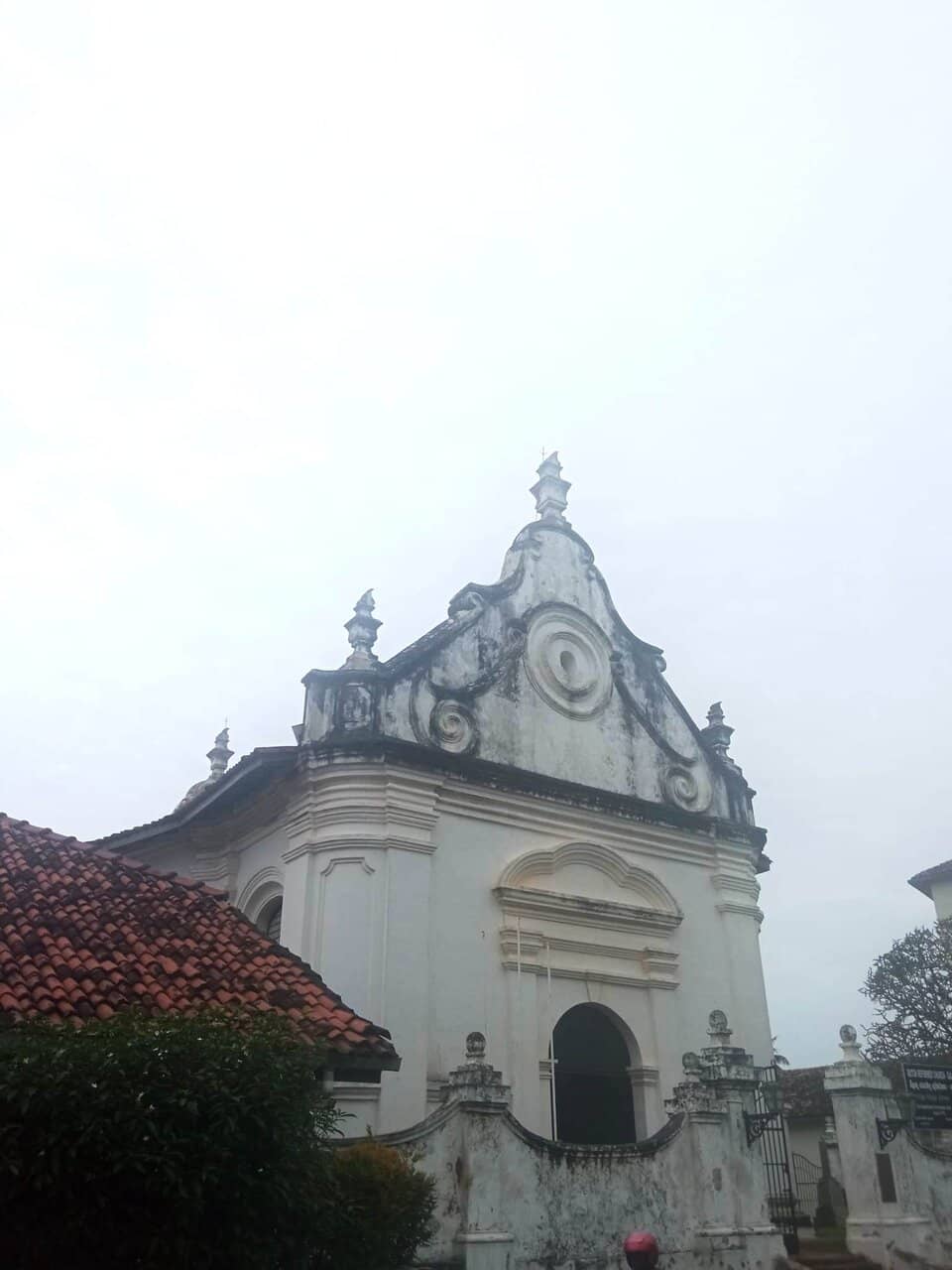 Vertical photo