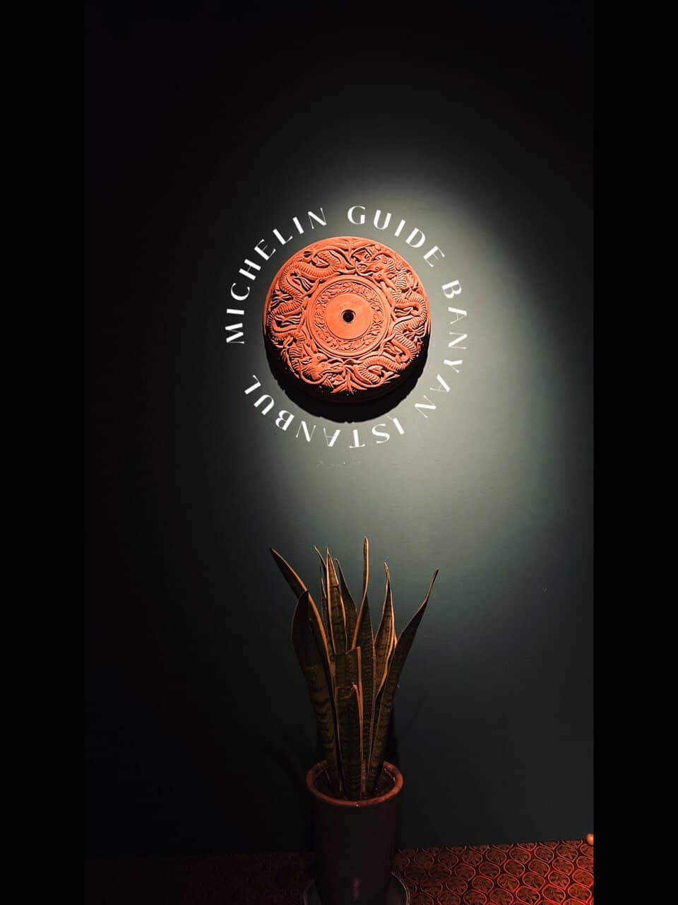 Asian-Turkish Fusion Cuisine