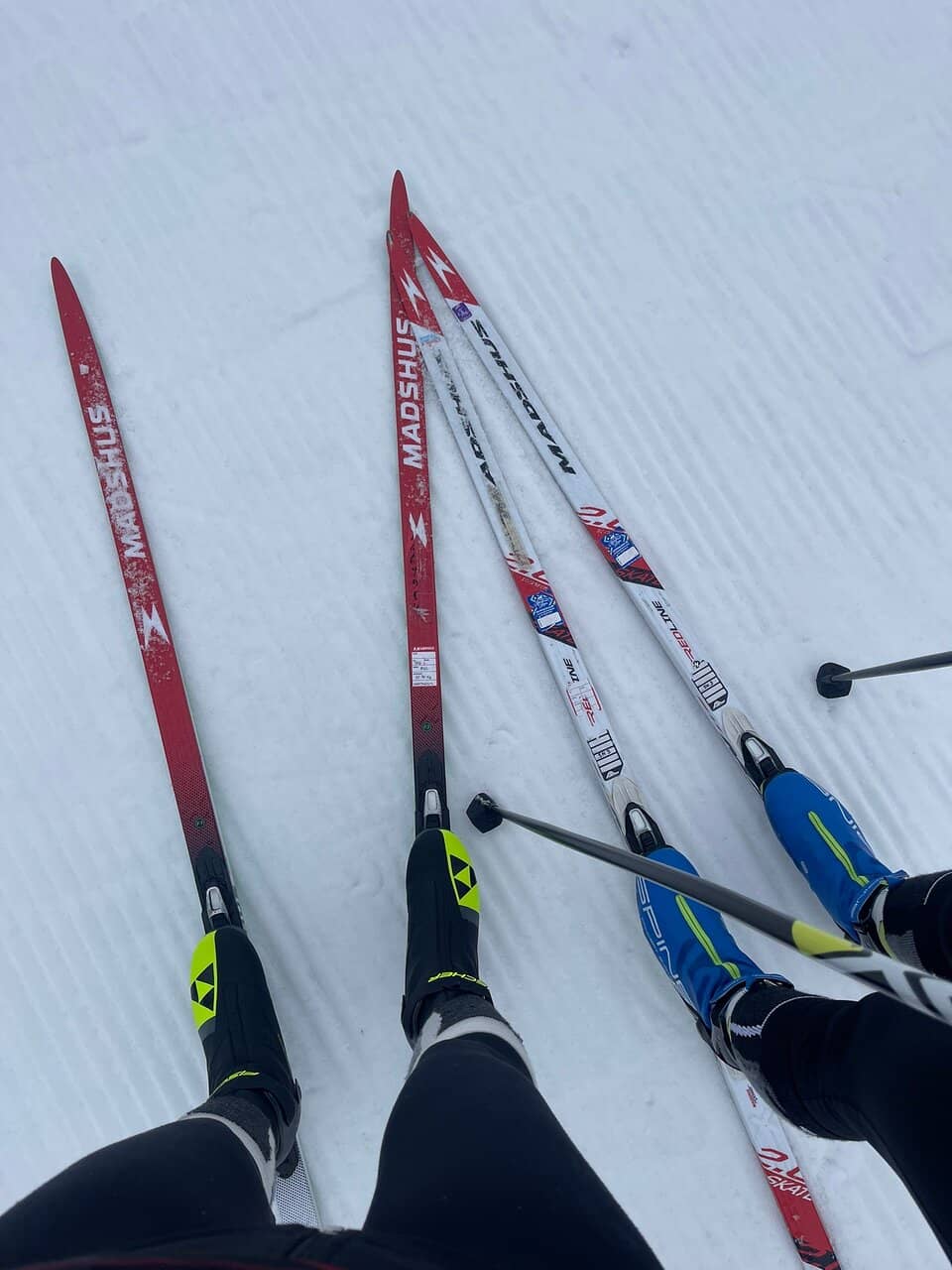 Scenic 6km Ski Track