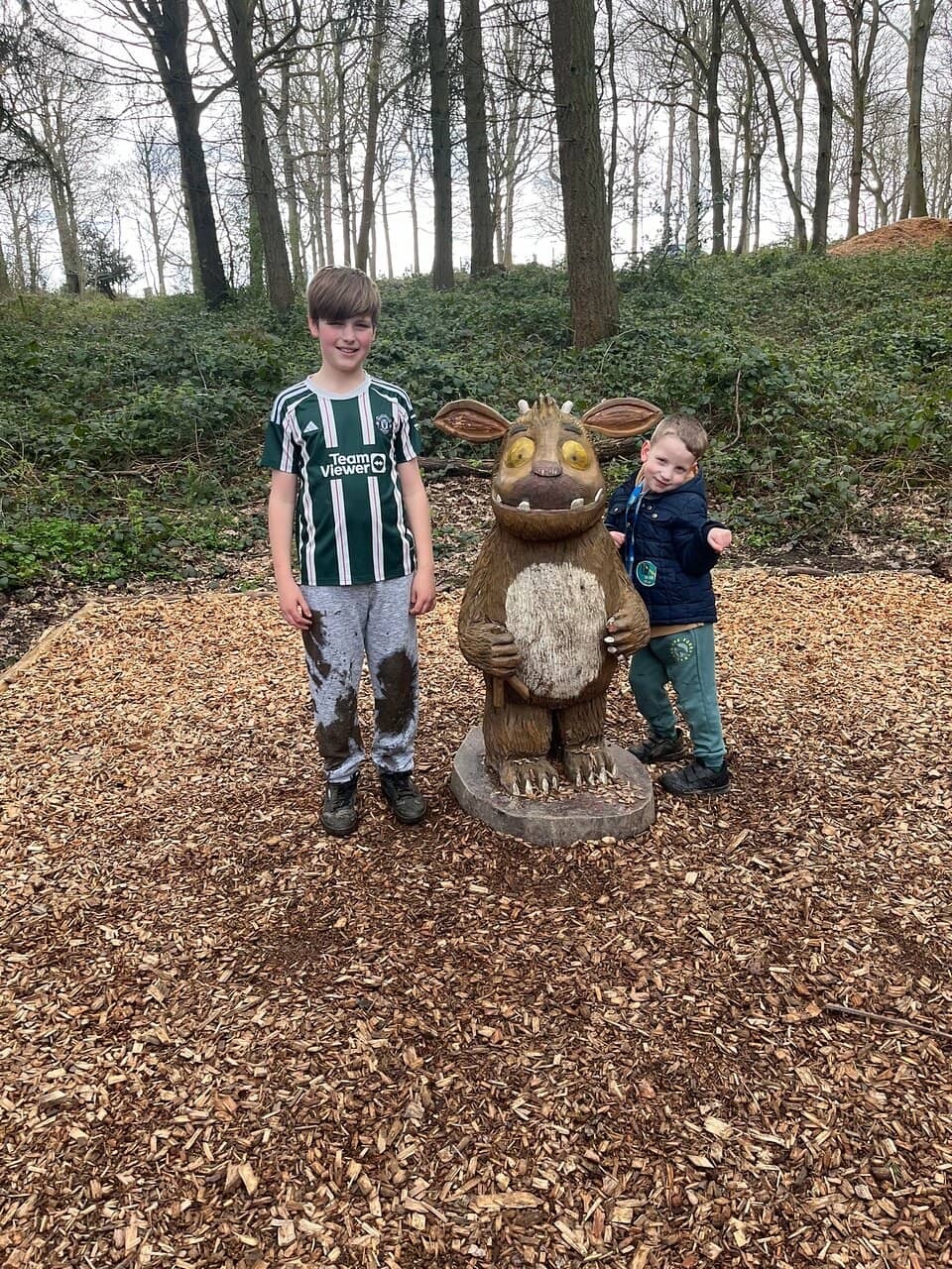 Treetop Adventure