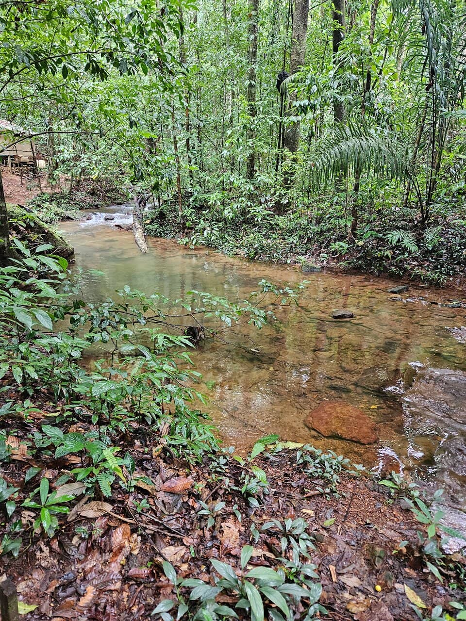 Well-Maintained Environment