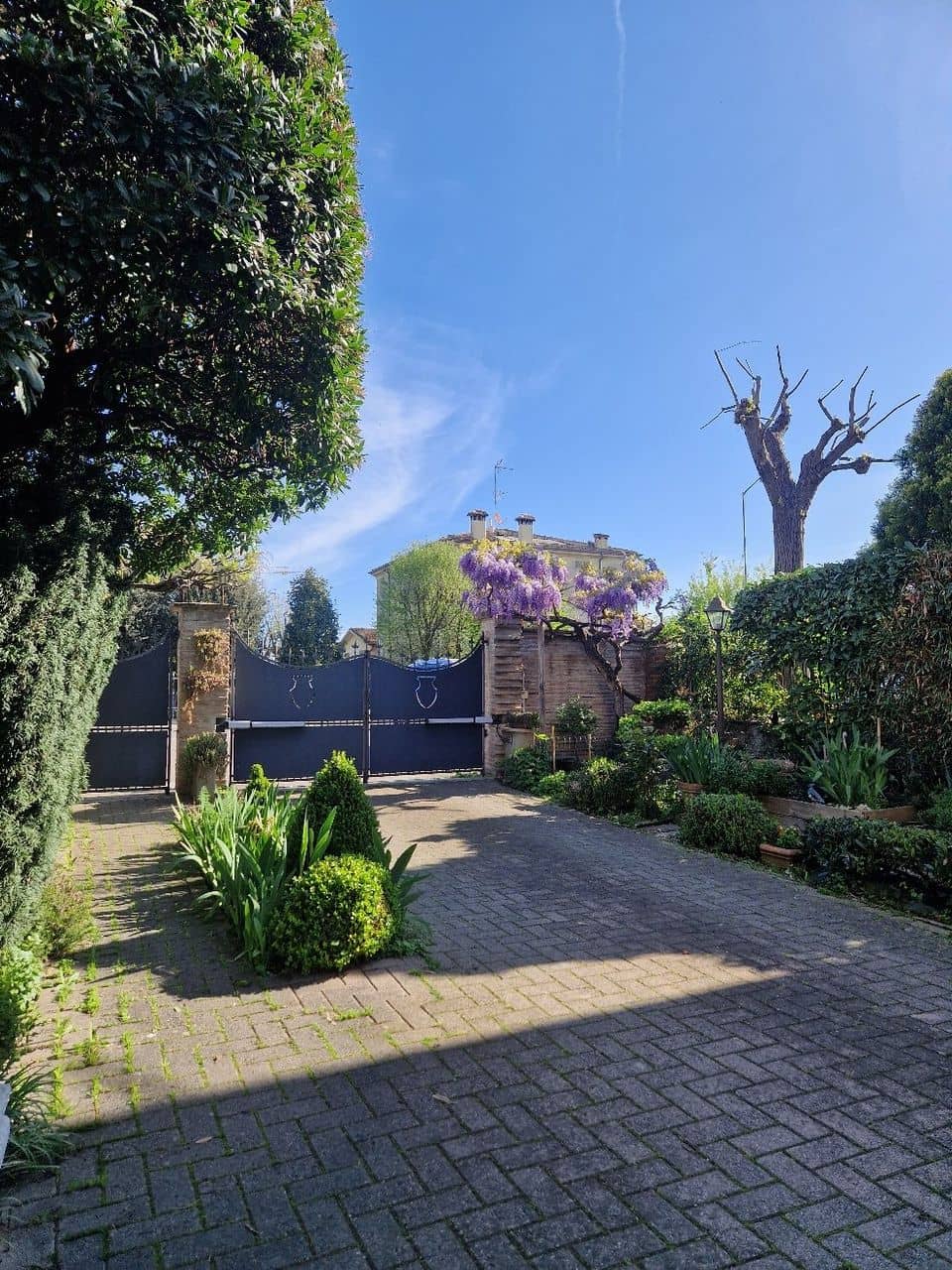 The Aging Process Explained