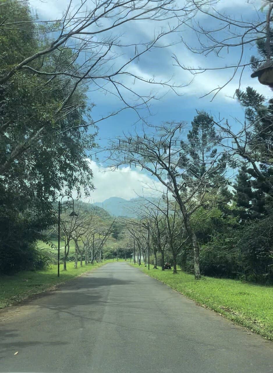 Panoramic Mountain Vistas