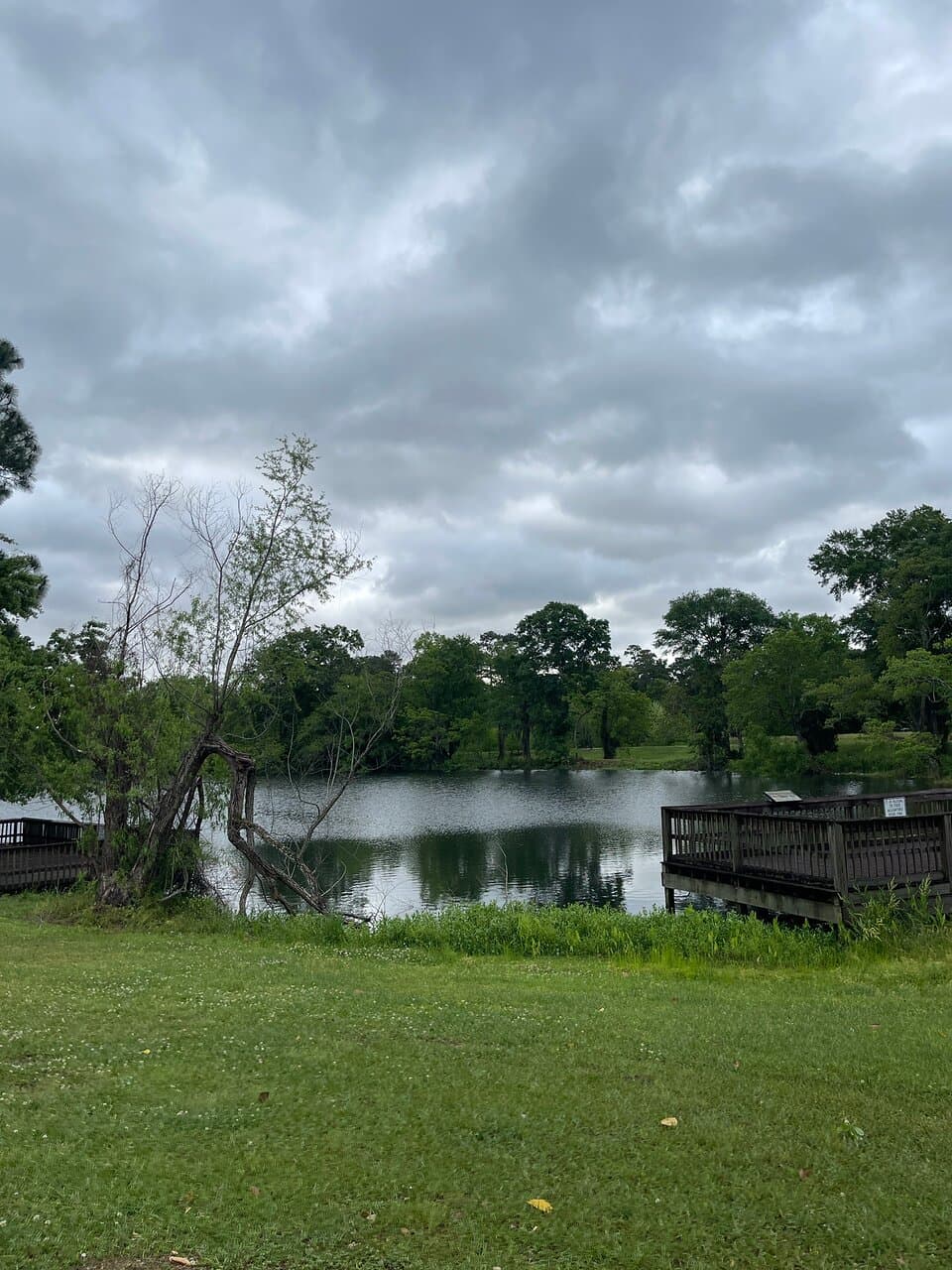 Turtles Picnics & Day Lake