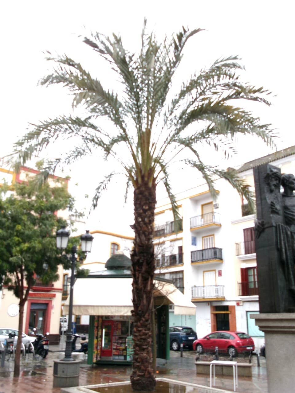 Royal Alcázar of Seville