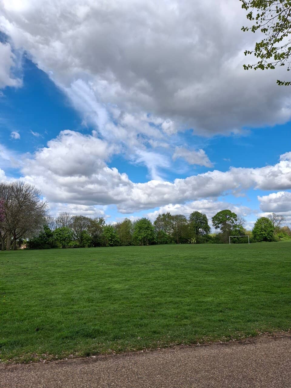 Restored Wooden Statues