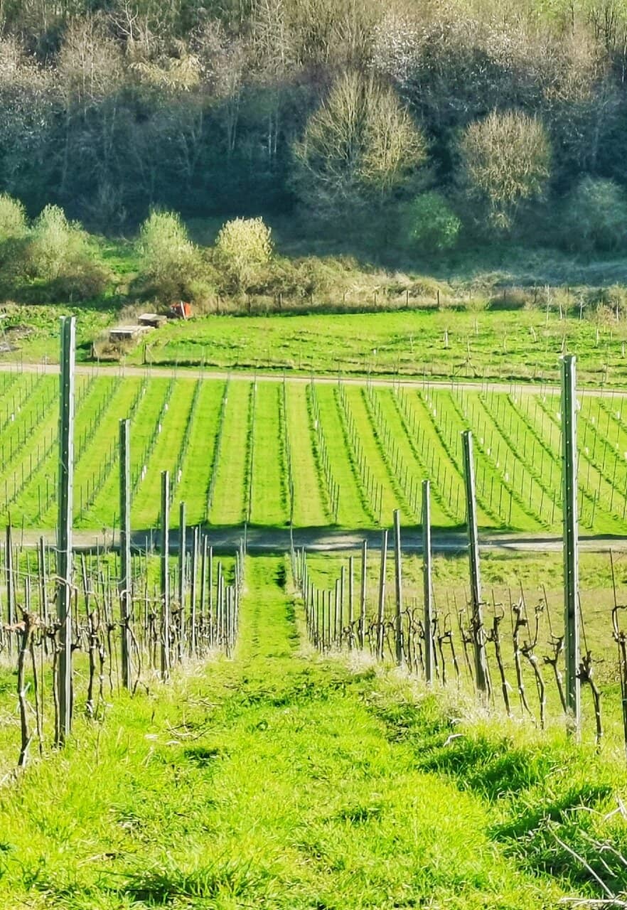 Historic Farnham Town