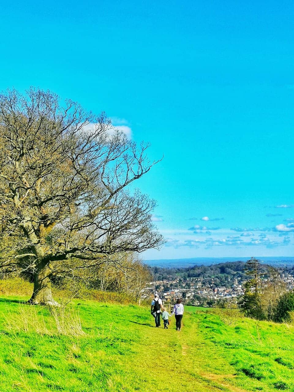 Views from the North Downs