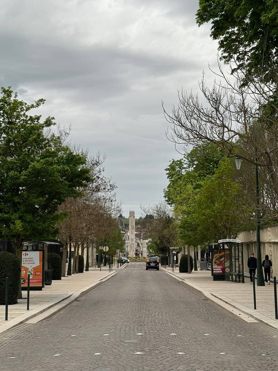 Elegant Tasting Experience