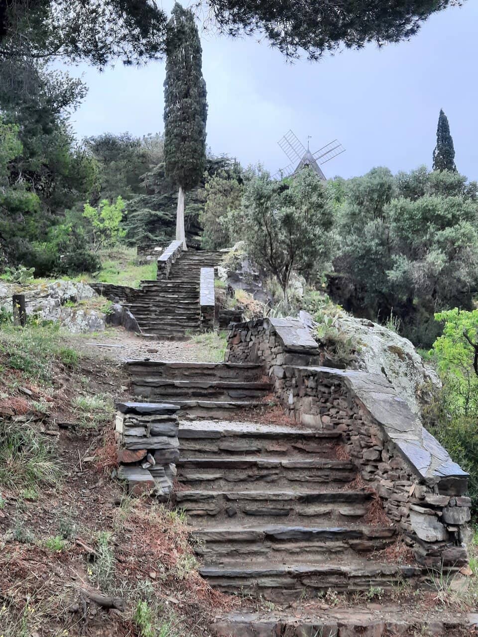 Panoramic Views of Collioure