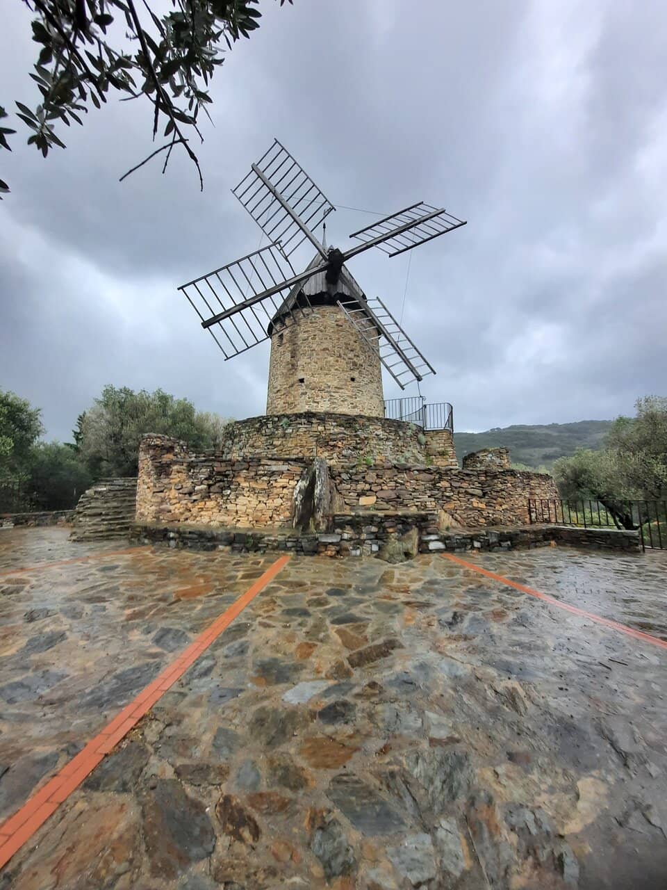 Olive Groves and Local Produce