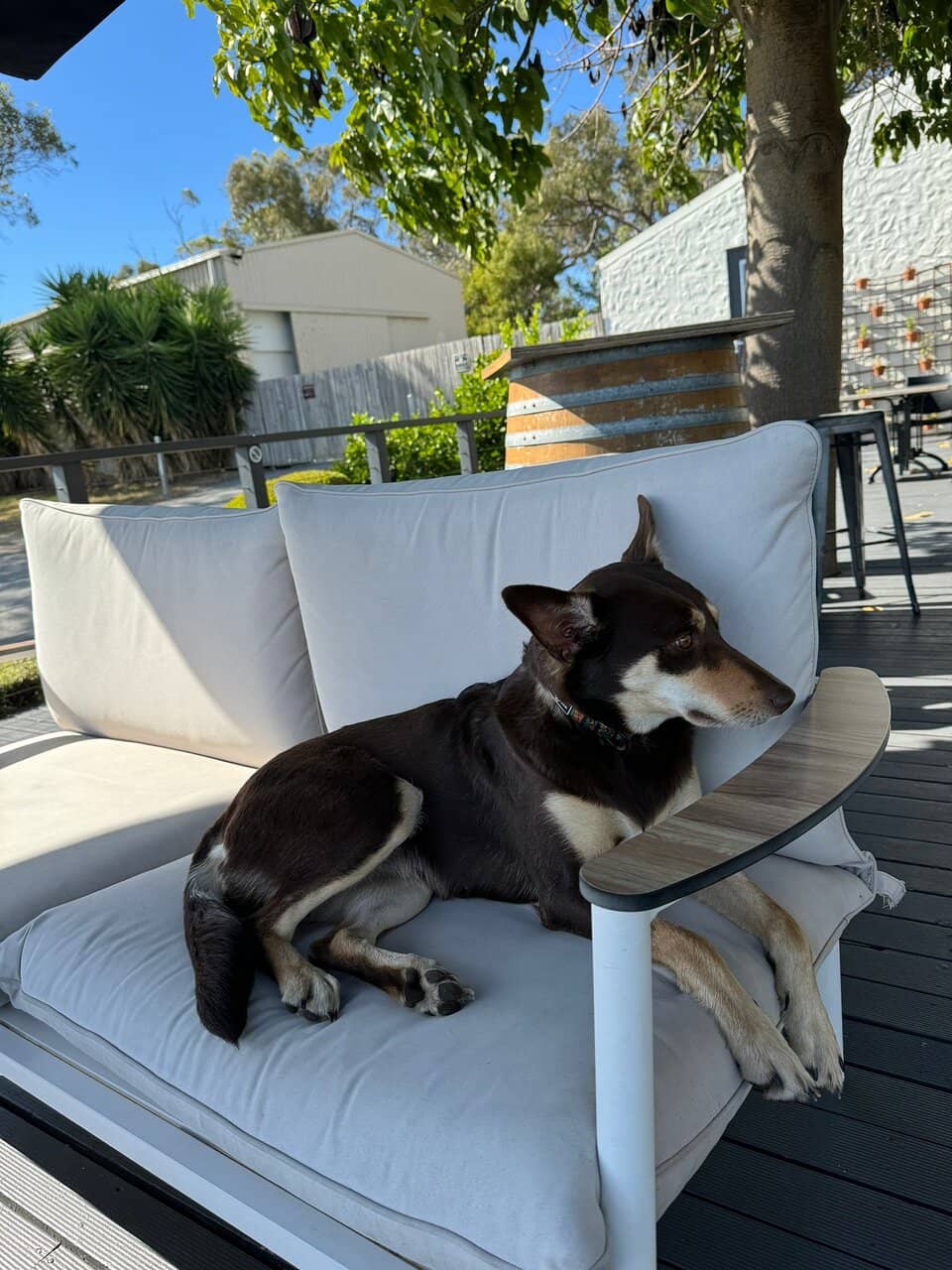 Delicious Thai-Inspired Cuisine