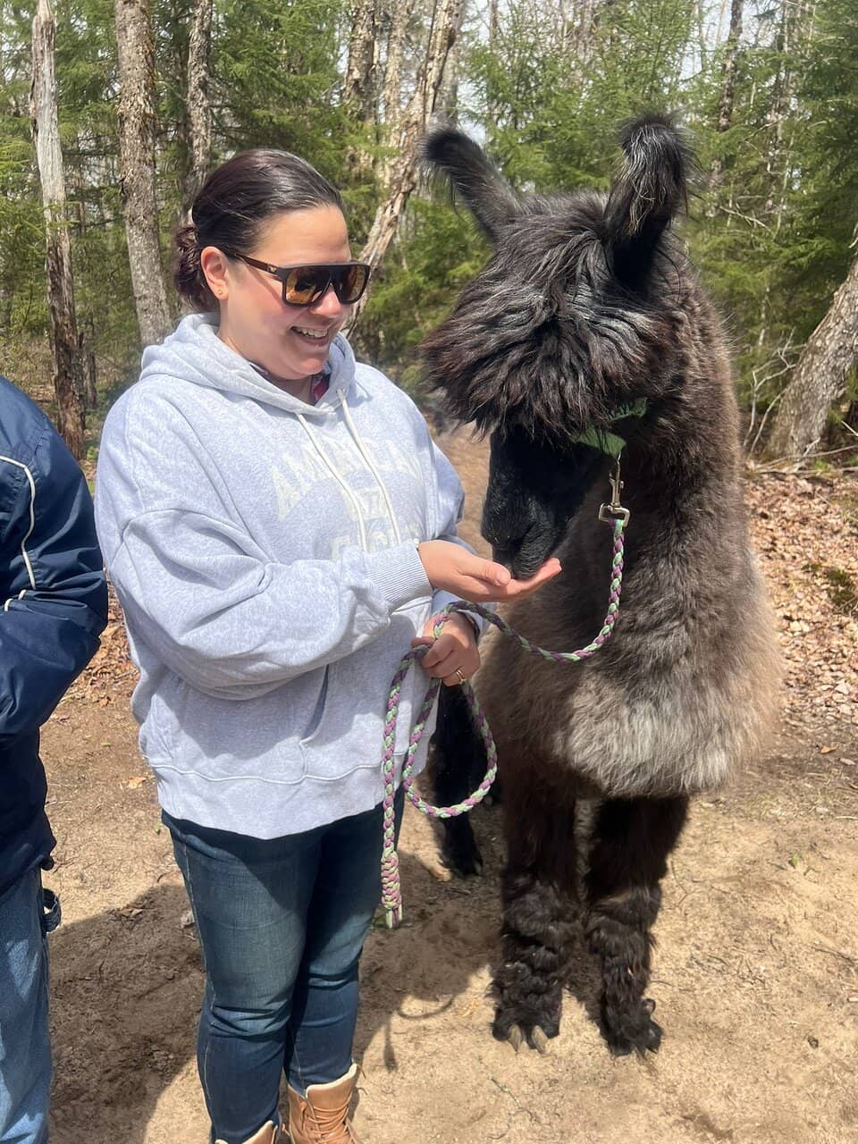 Moose Interaction