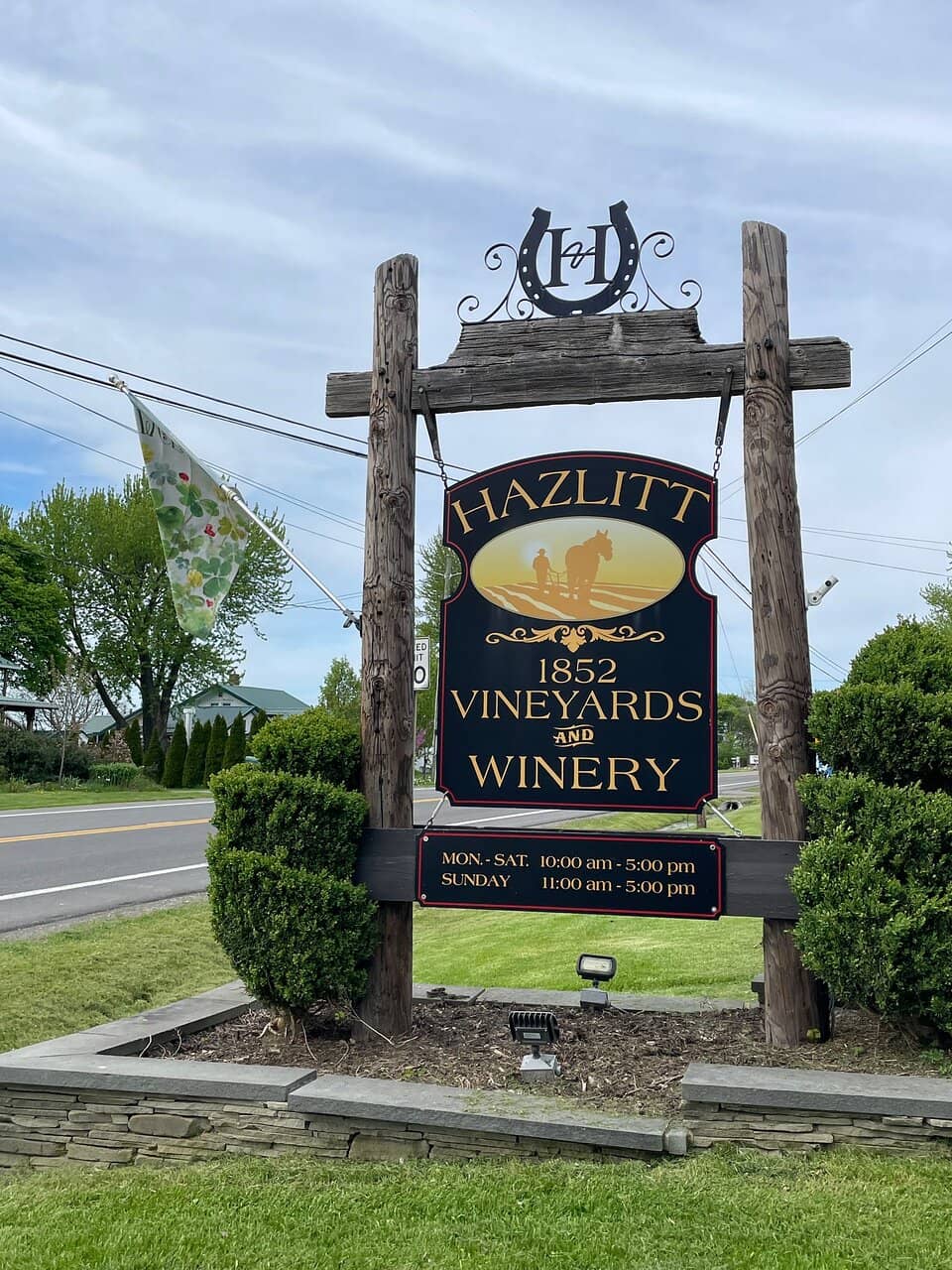 Vineyard Views