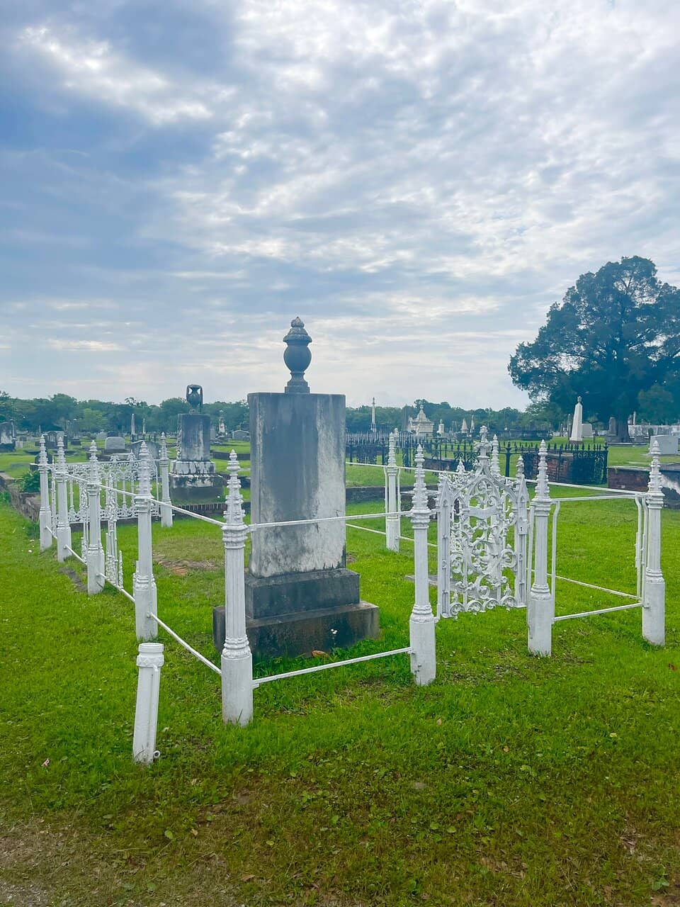 Confederate Soldier Section