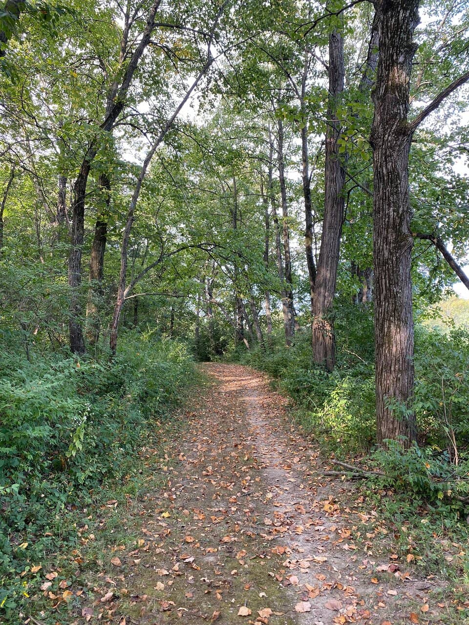 Scenic Lake Loop Trail