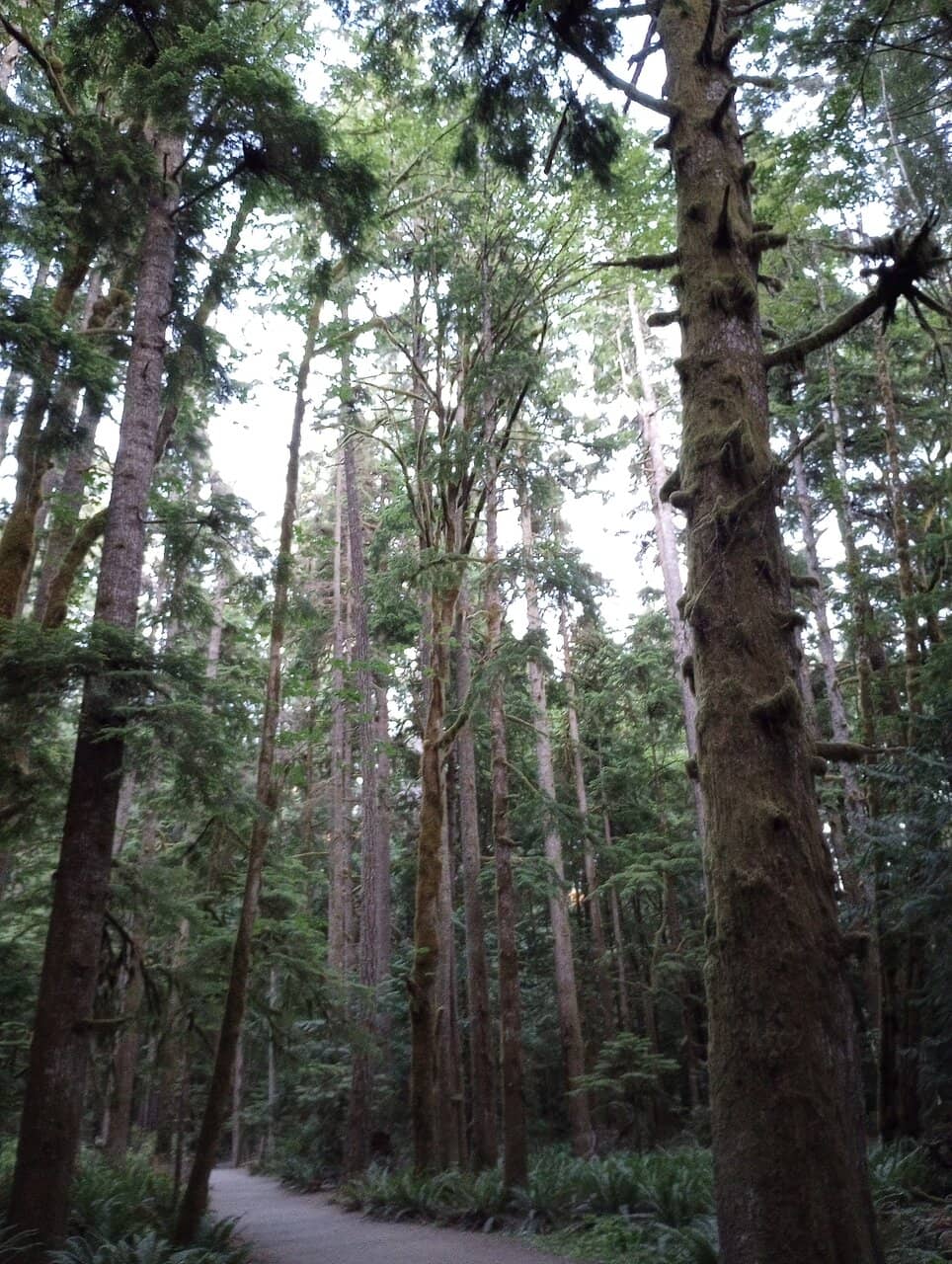 Vertical photo