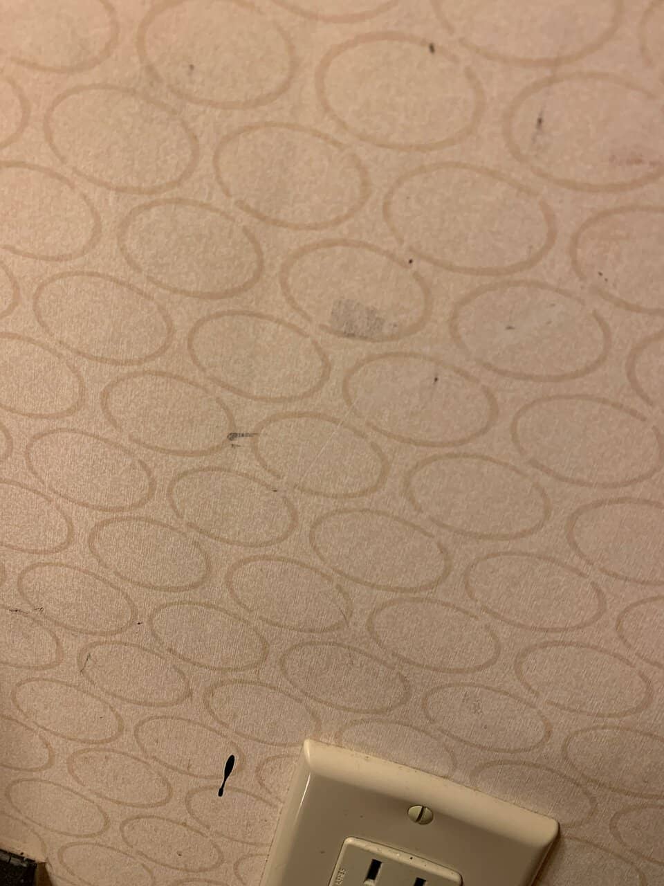 Alex Ramon Magic Show