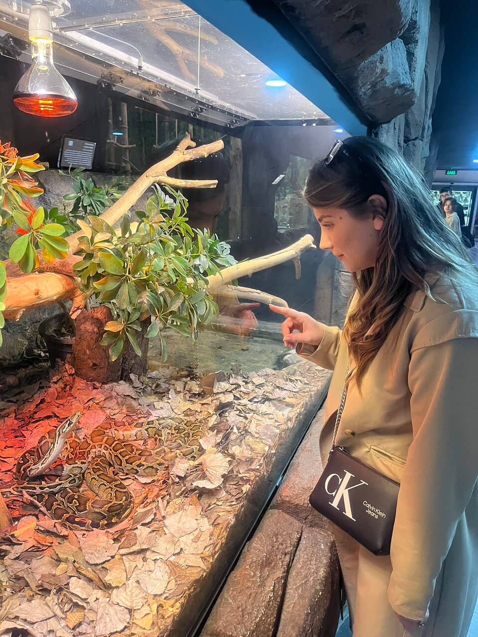 Interactive Bird Aviary