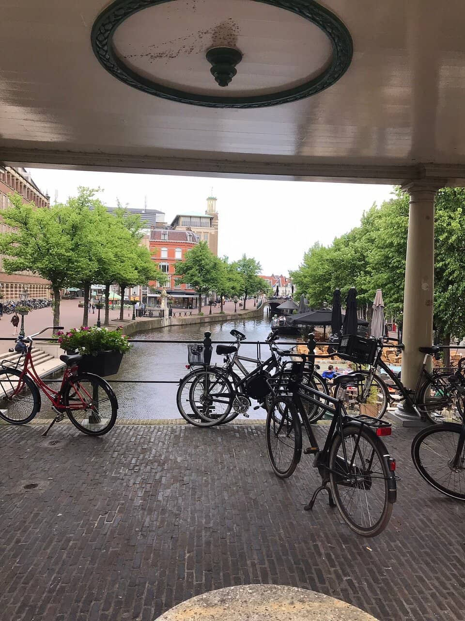 Canal Views