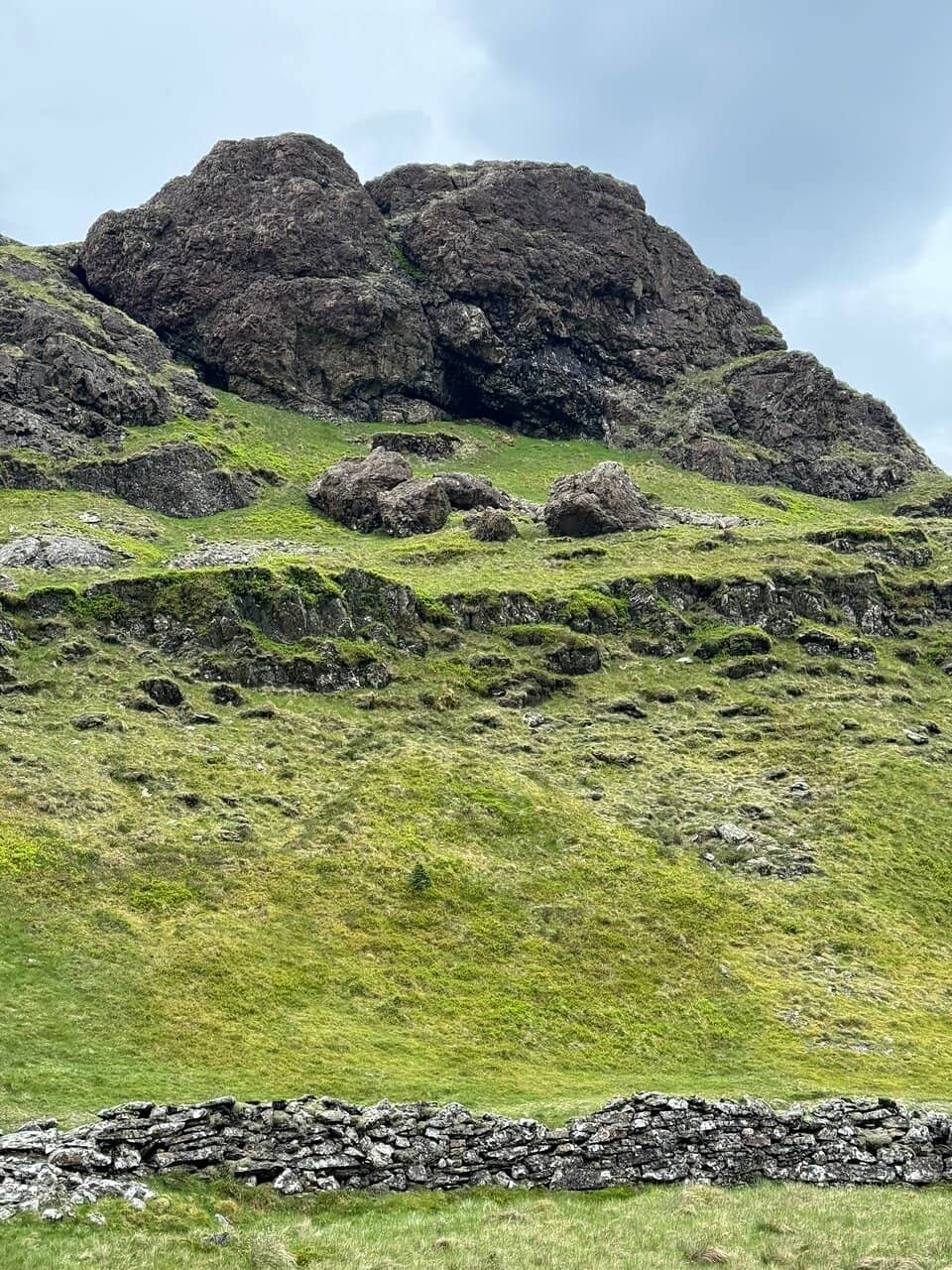 Vertical photo