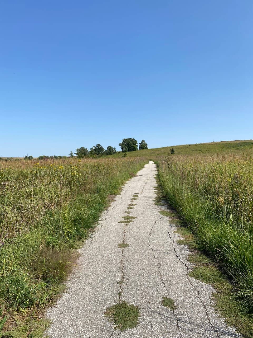 Restored Tallgrass Prairie