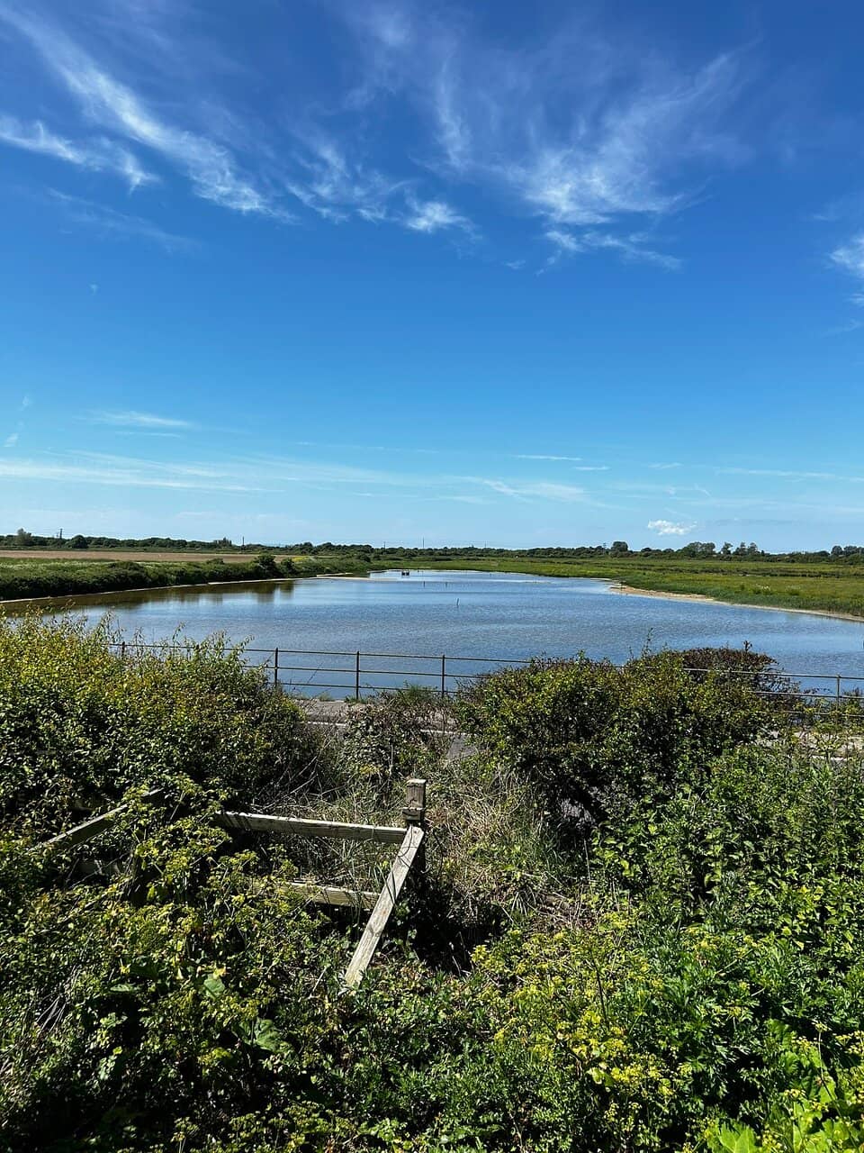 Birdwatching Paradise