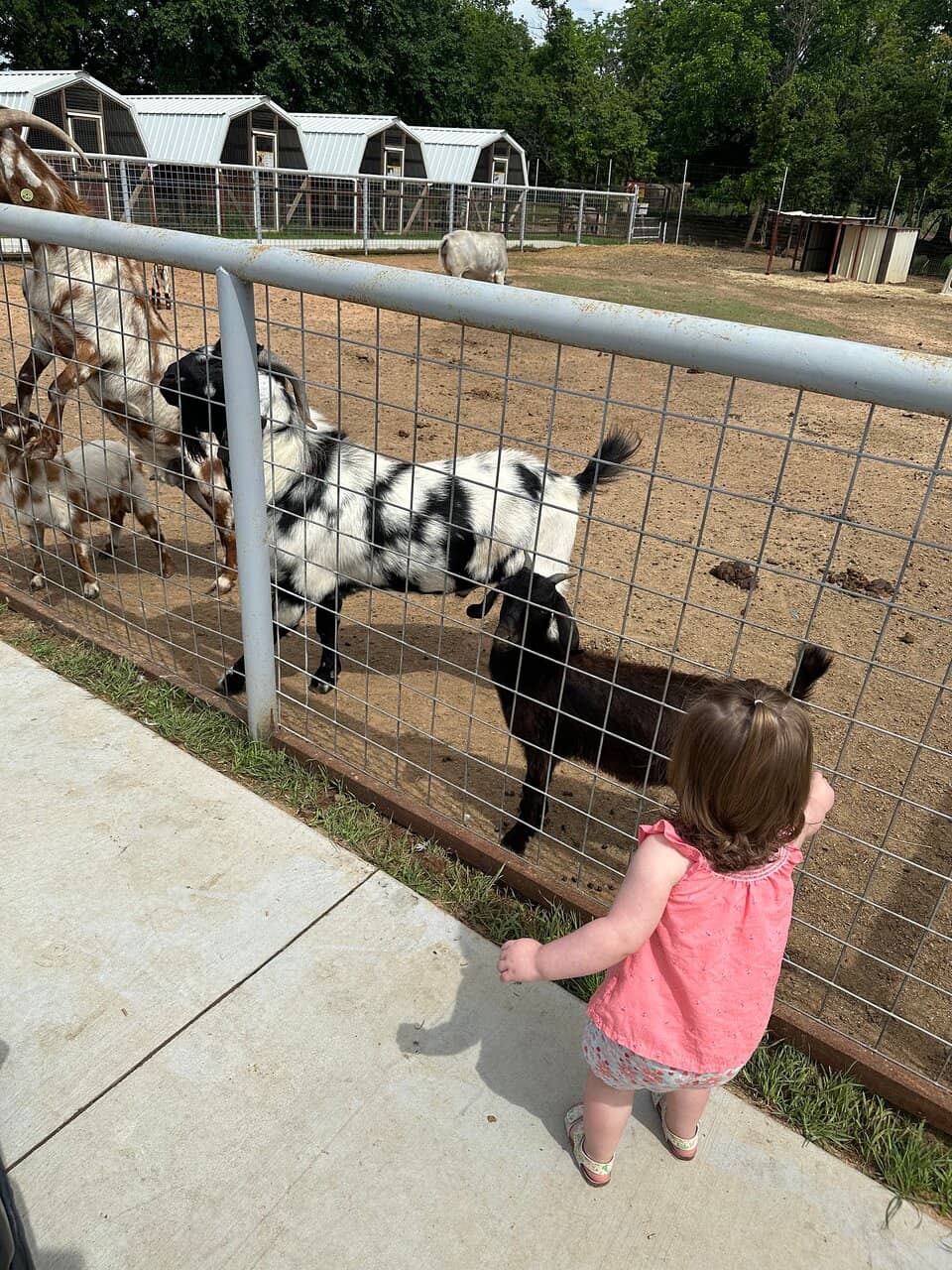 Paved, Stroller-Friendly Paths