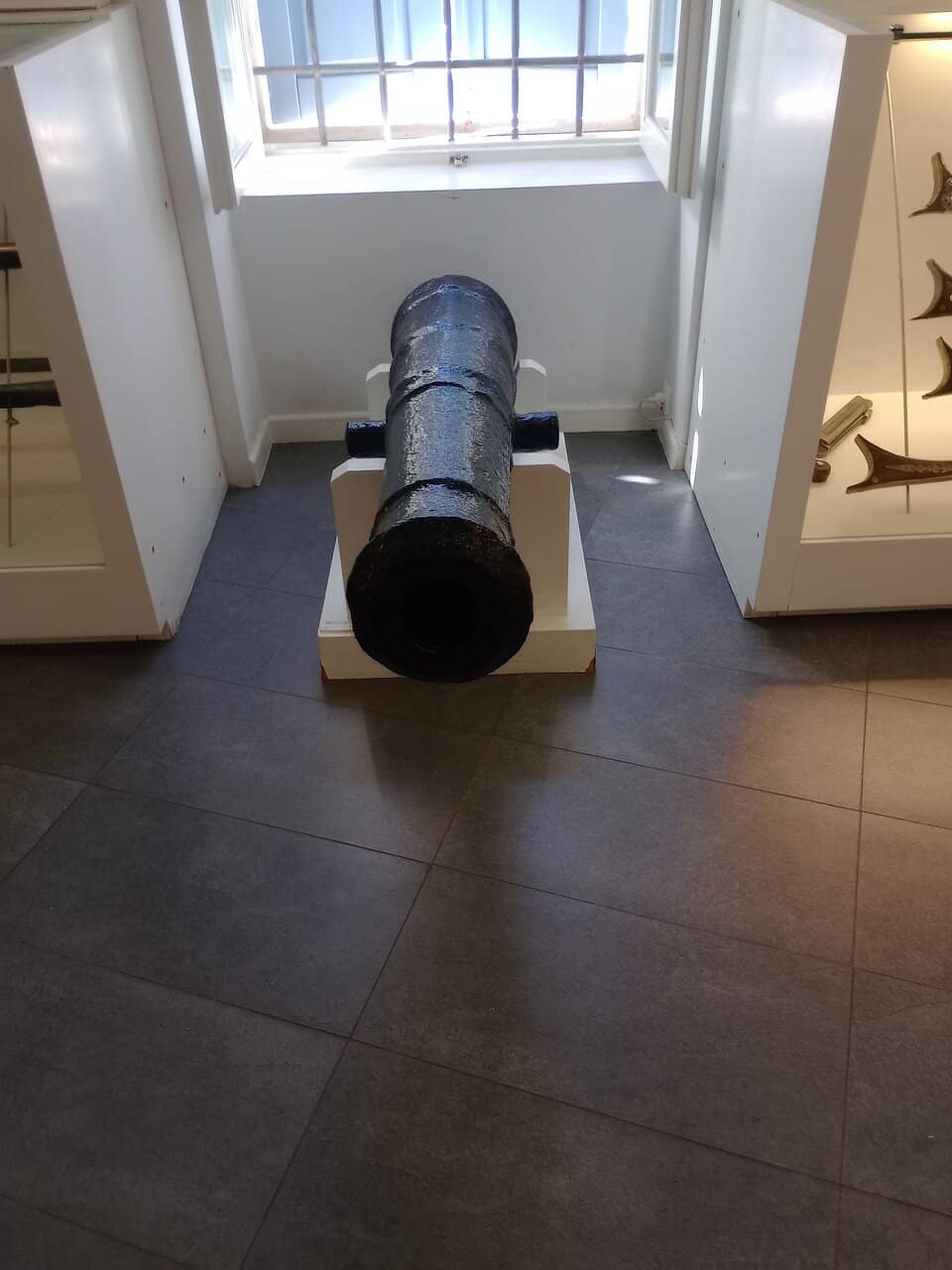 Ancient Archeological Finds