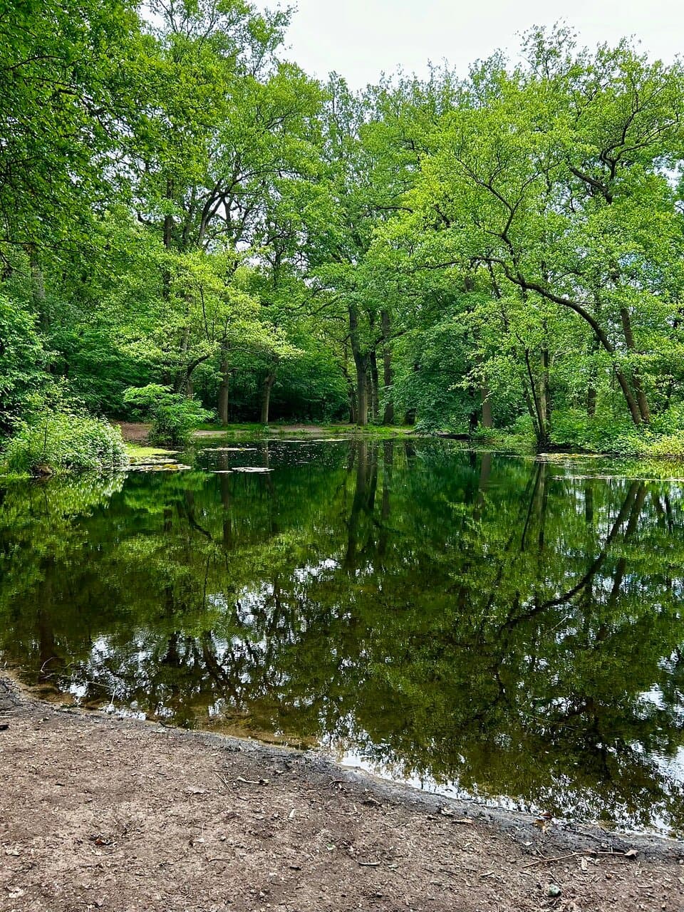 Renkums Beekdal