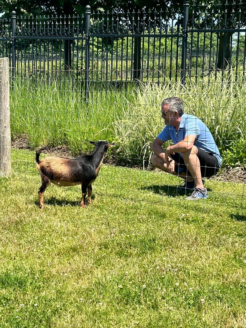 Stunning Vineyard Views