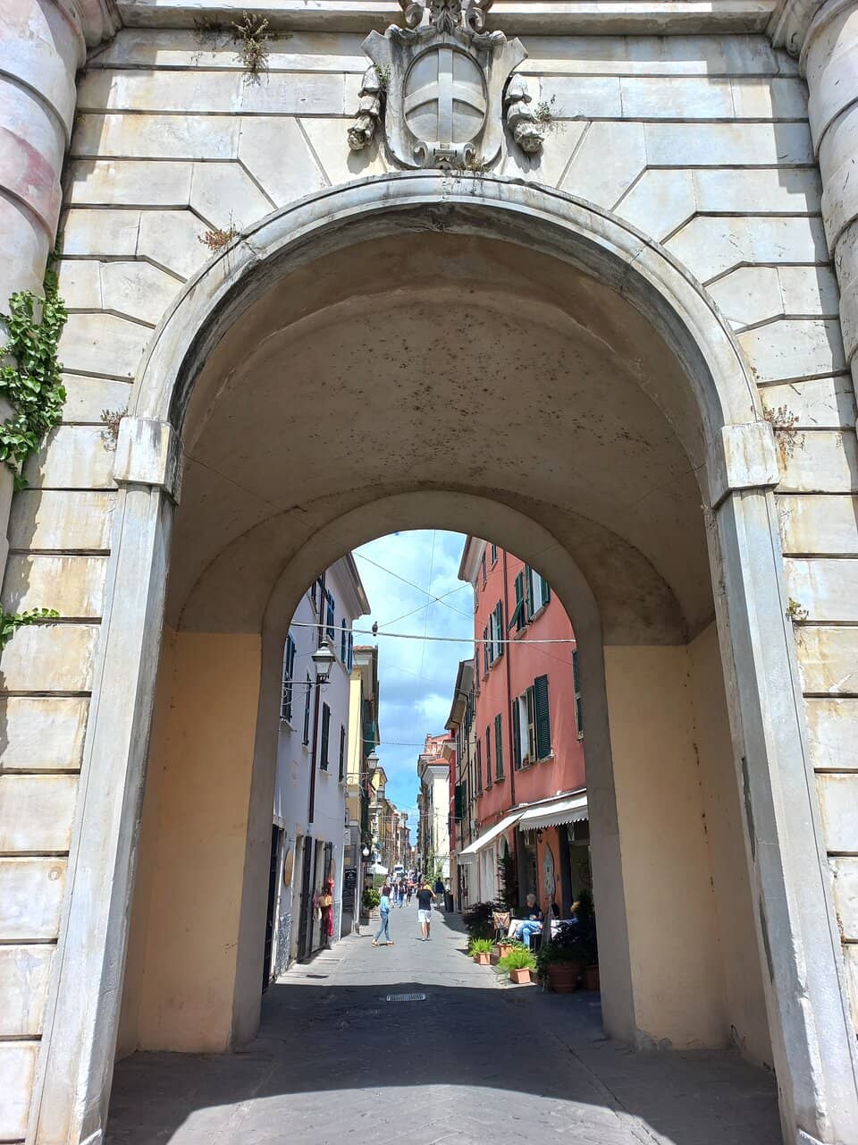 Vertical photo
