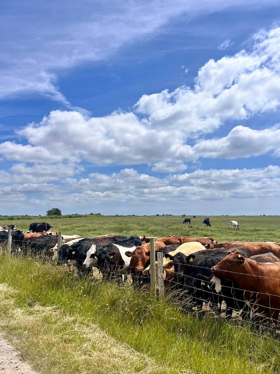 Birdwatching Paradise