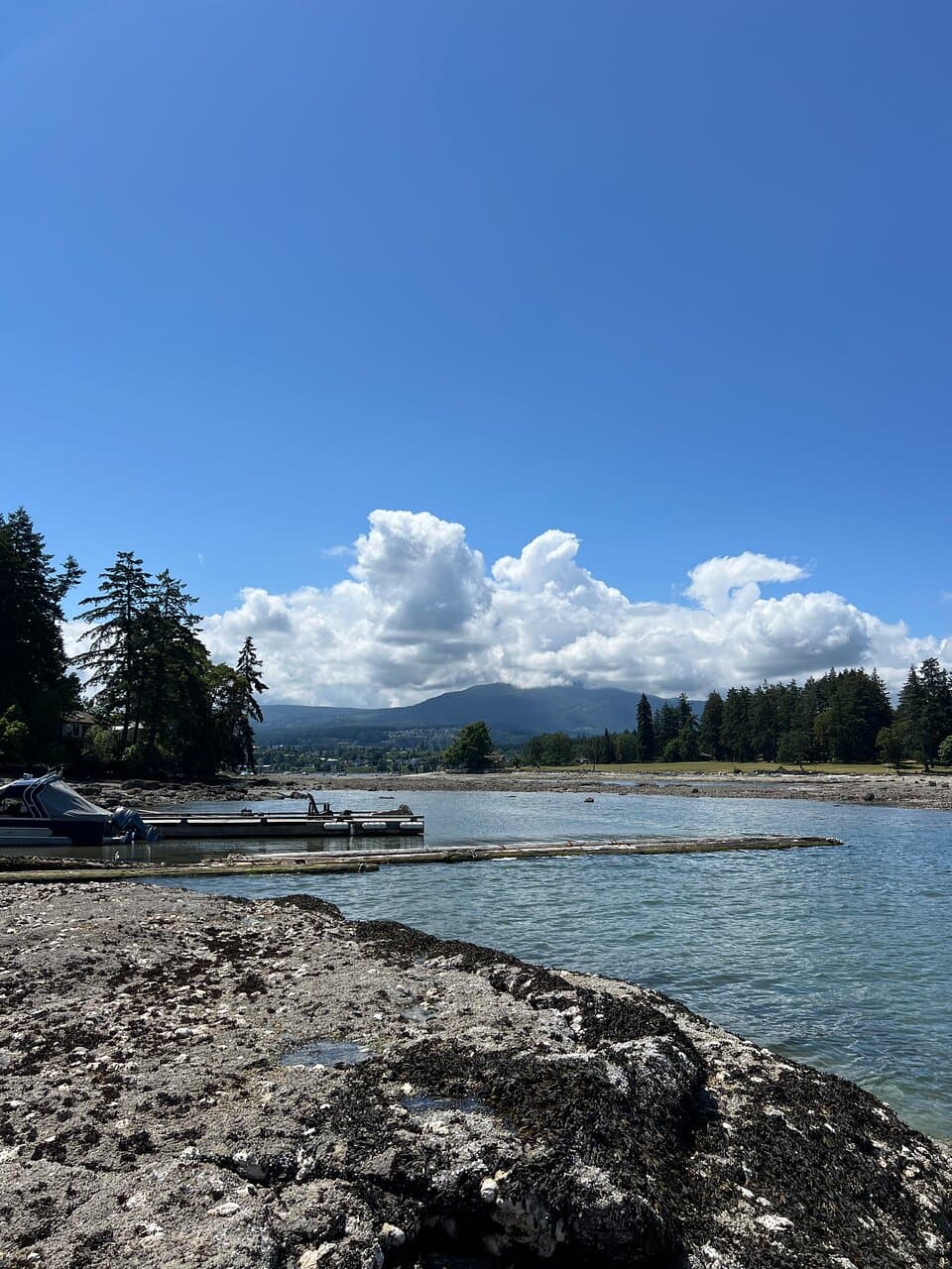 Protection Island