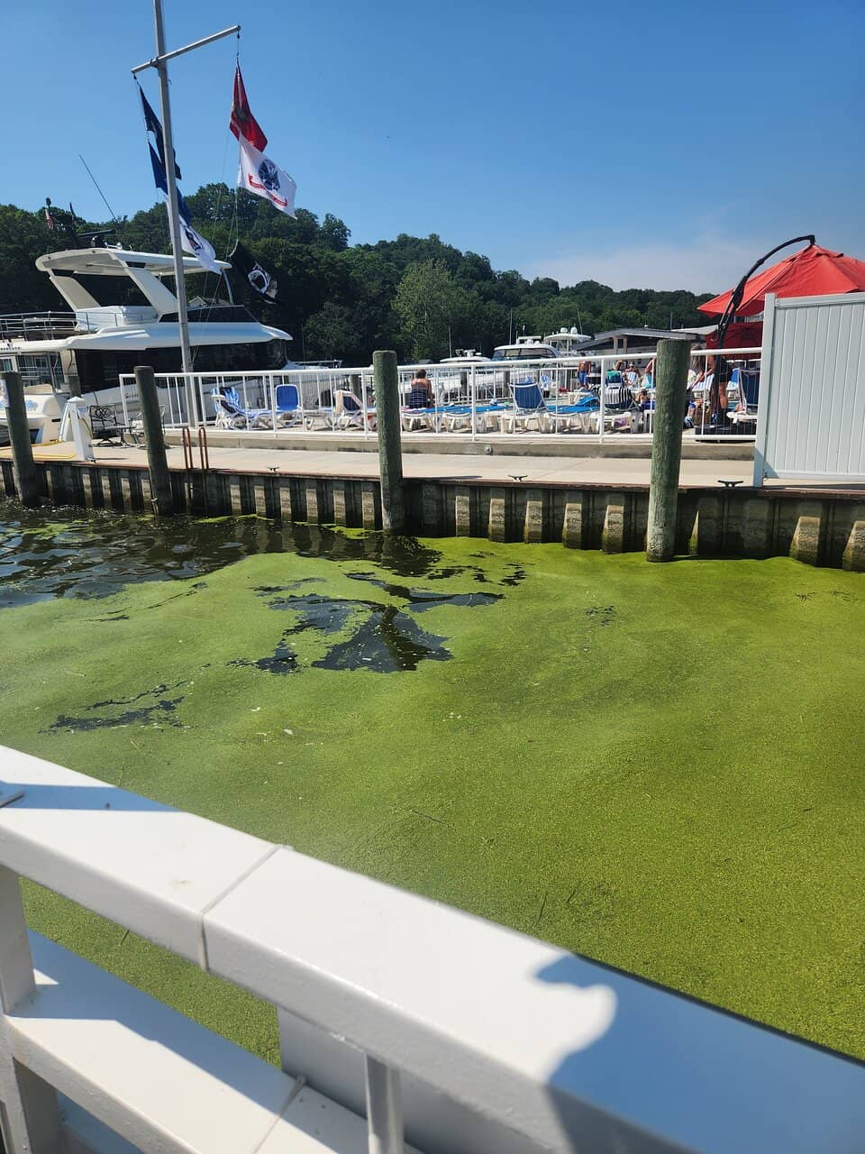 The Hand-Cranked Chain Ferry