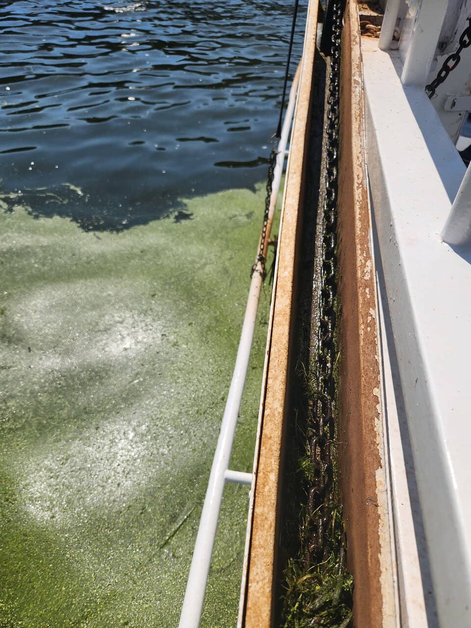 Mount Baldhead Views