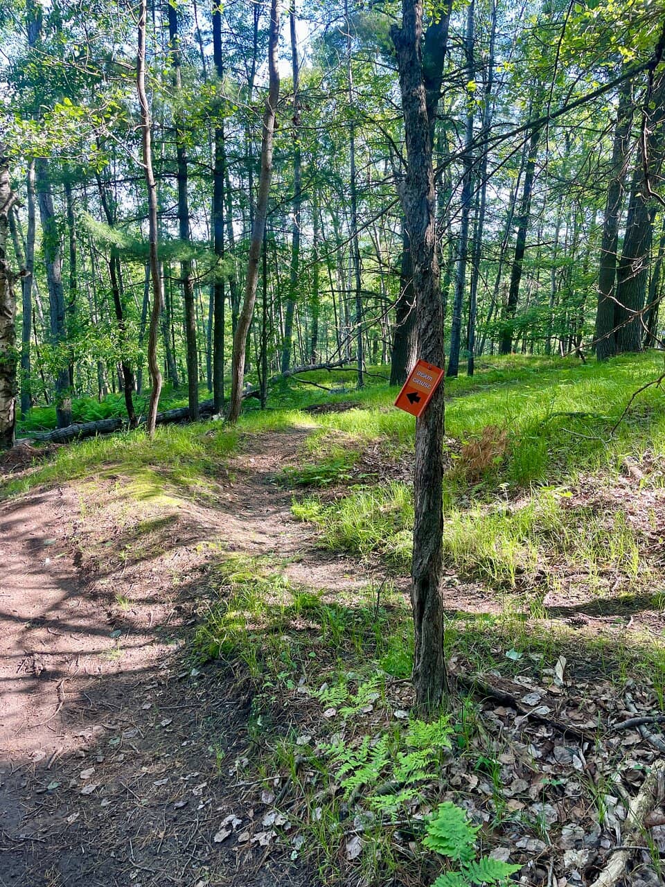 Volunteer Guide Insights