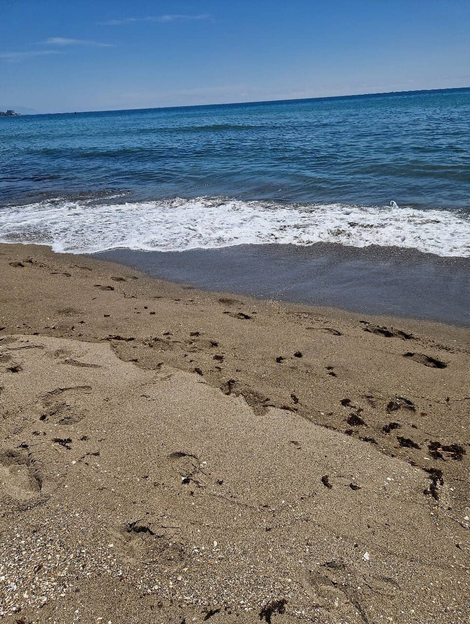 Expansive Sandy Shoreline