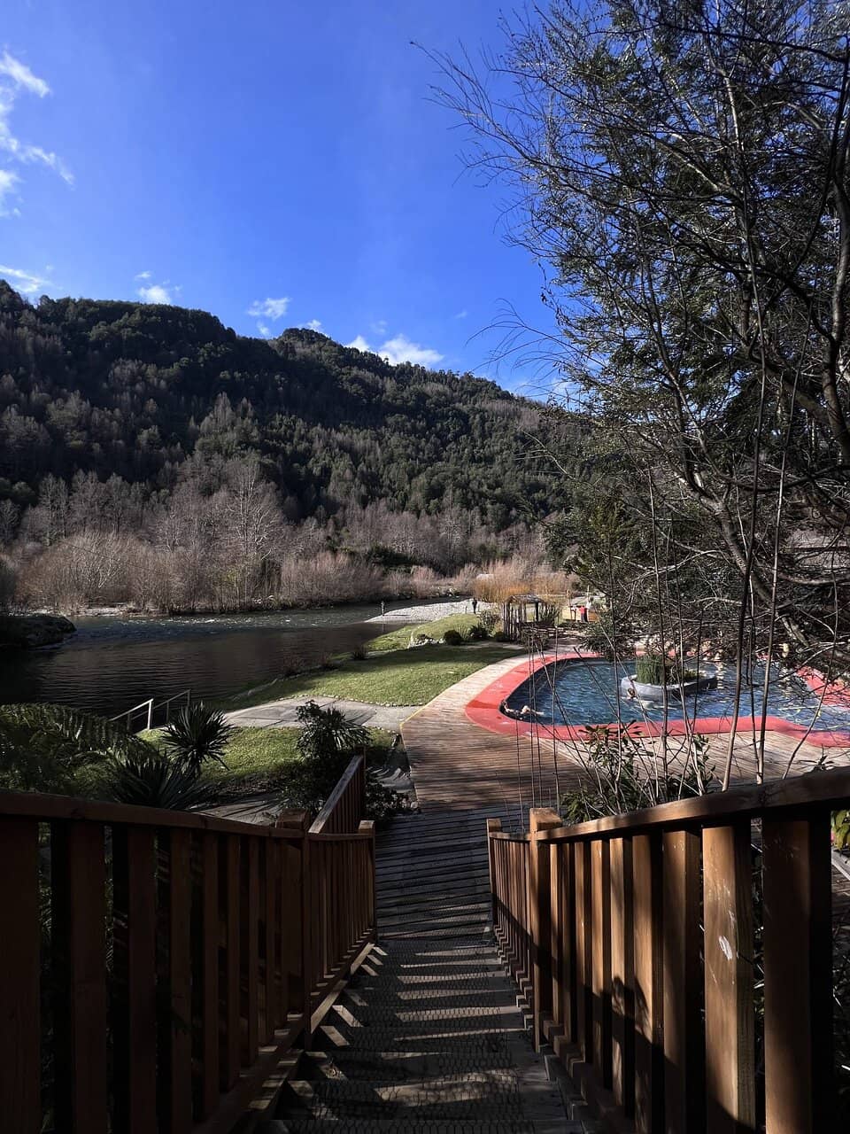 Forest and Mountain Views