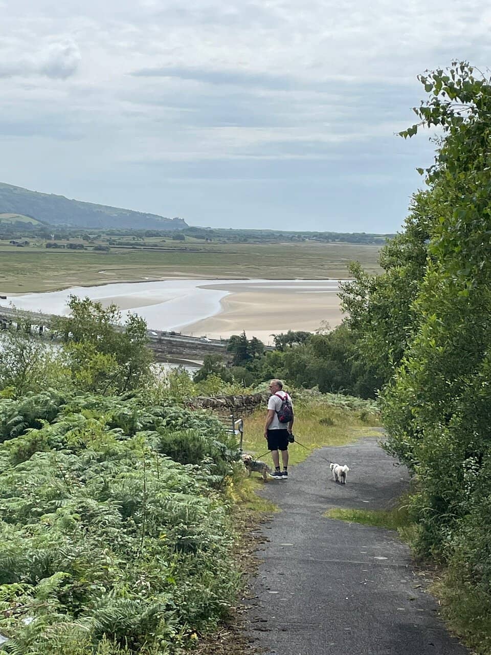 Estuary Views
